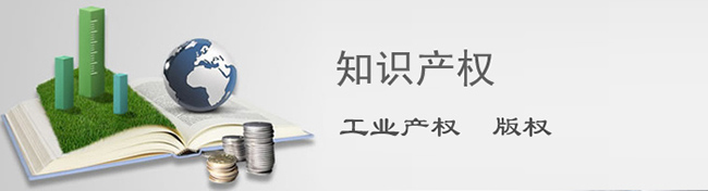 知識(shí)產(chǎn)權(quán)保護(hù)