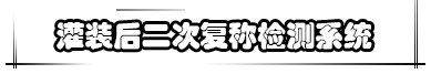 灌裝后二次復(fù)稱檢測系統(tǒng)