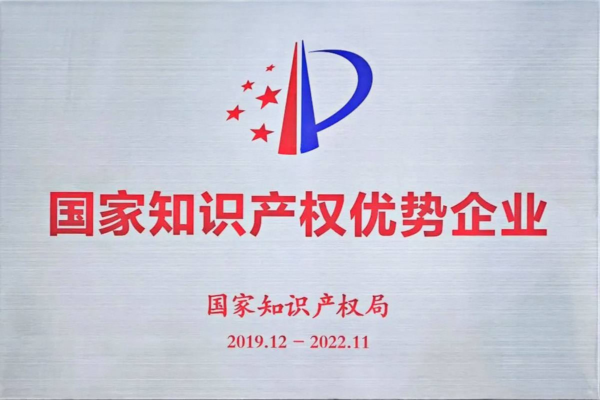 國家知識產(chǎn)權(quán)優(yōu)勢企業(yè).jpg